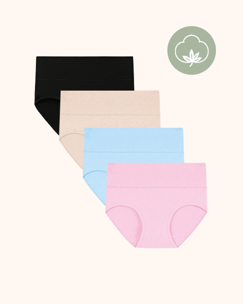 Women's Plus Size Cotton High Waisted Briefs 4-Pack