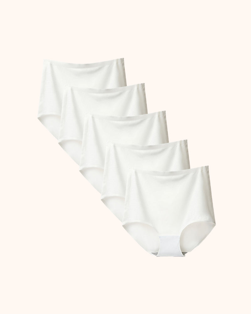 Seamless High Waist No Show Silky Briefs 5-Pack
