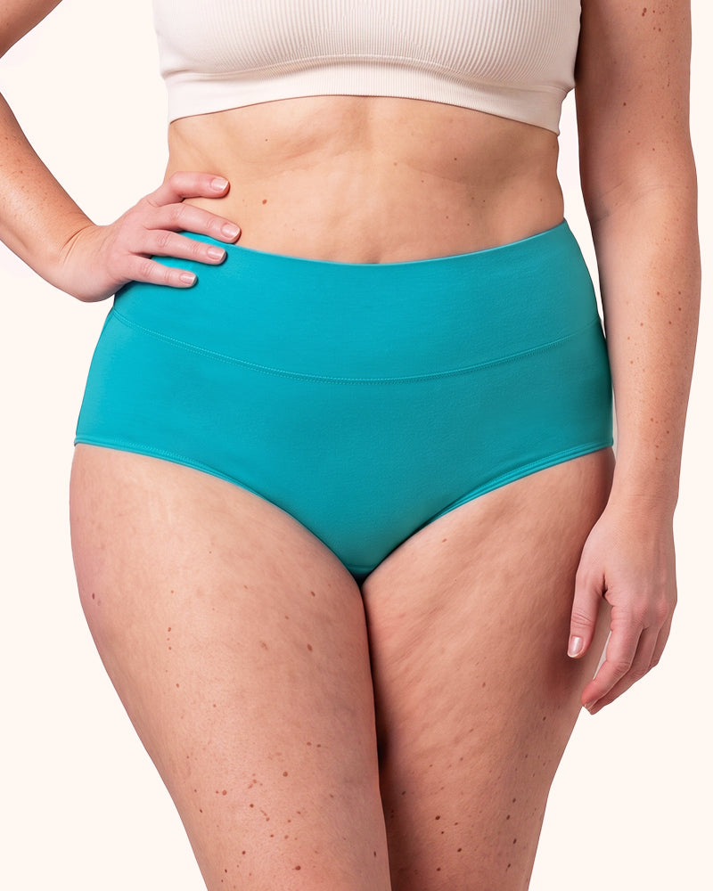 Women's Plus Size Cotton High Waisted Briefs 4-Pack