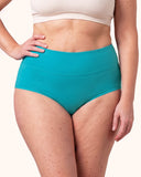 Women's Plus Size Cotton High Waisted Briefs 4-Pack