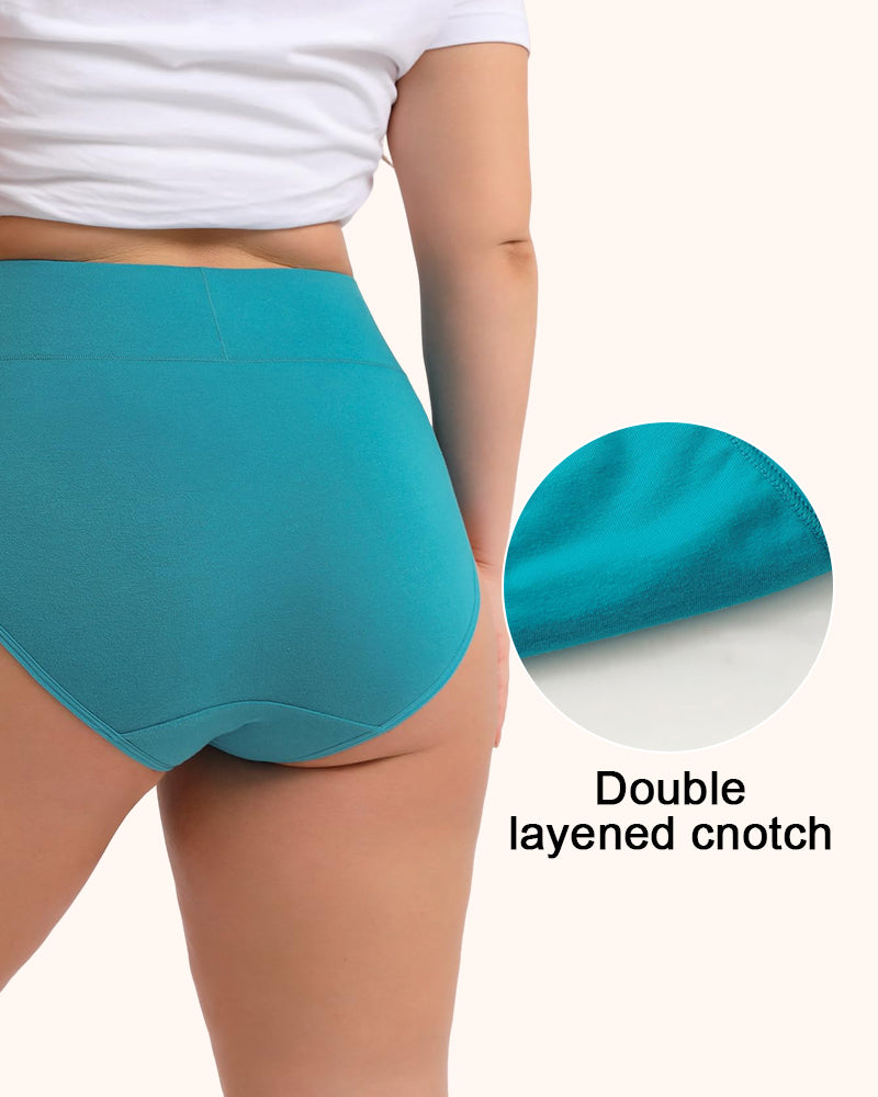 Women's Plus Size Cotton High Waisted Briefs 4-Pack